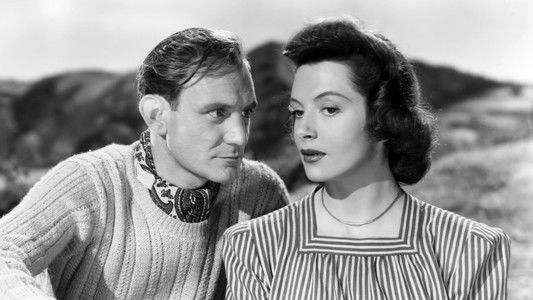 I See a Dark Stranger