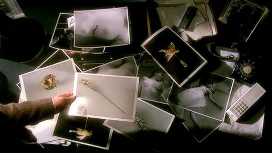 Murderock - Uccide a passo di danza