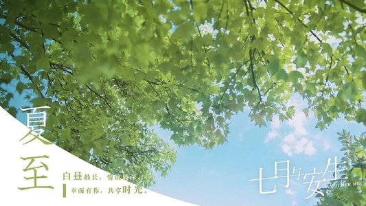 七月与安生