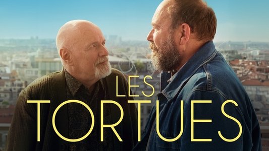 Les tortues