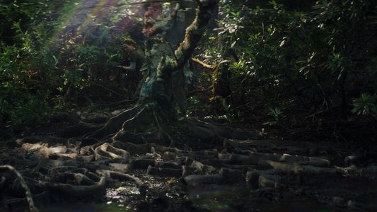 Annihilation