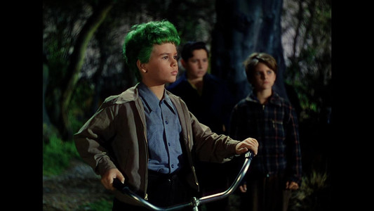 The Boy with Green Hair