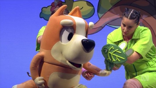 Bluey’s Big Play