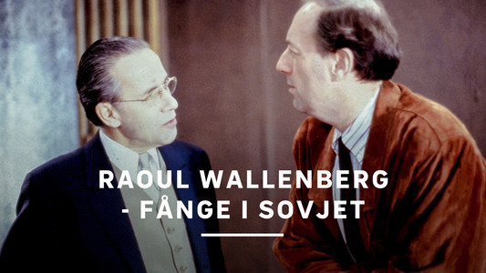 Raoul Wallenberg - fånge i Sovjet