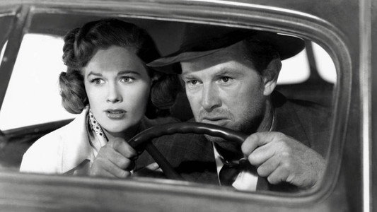 The Asphalt Jungle