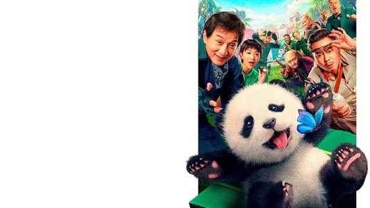 熊猫计划