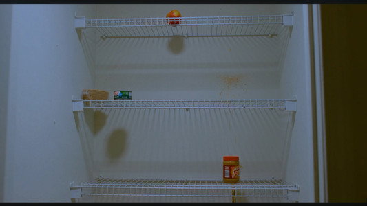 Shelf Life
