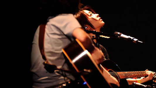 Utada Hikaru: Wild Life