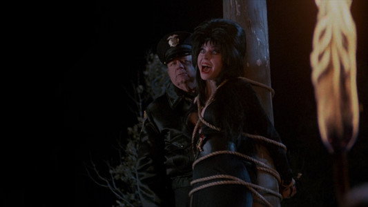 Elvira: Mistress of the Dark