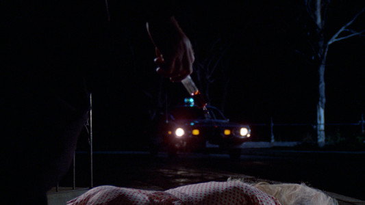 The Night Strangler