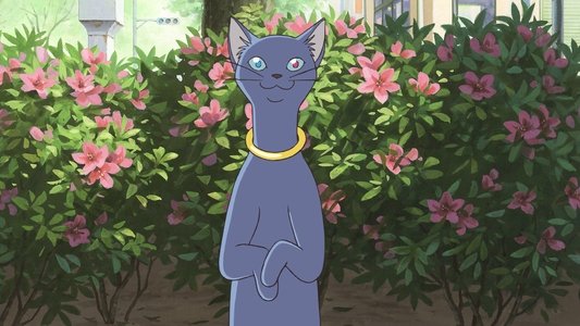 猫の恩返し