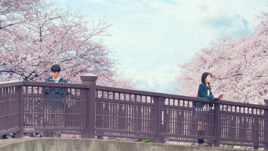 君の膵臓をたべたい
