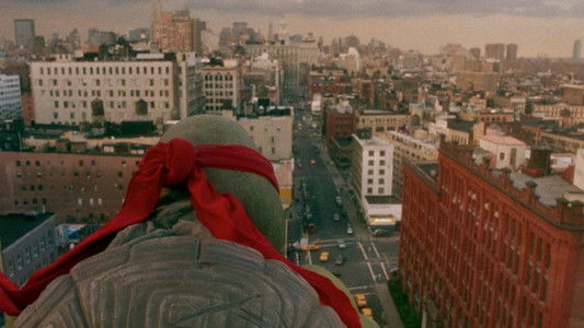 Teenage Mutant Ninja Turtles