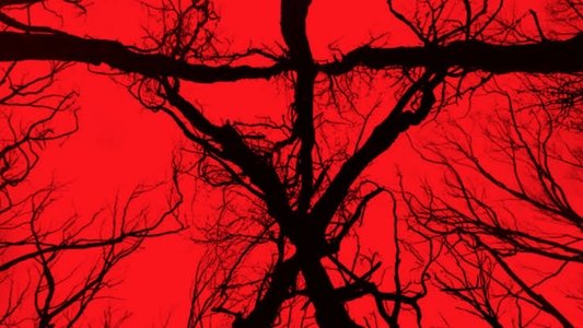 Blair Witch