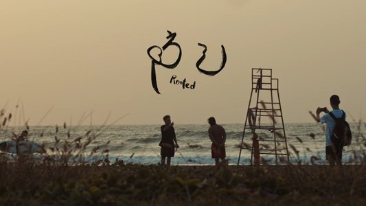 防己