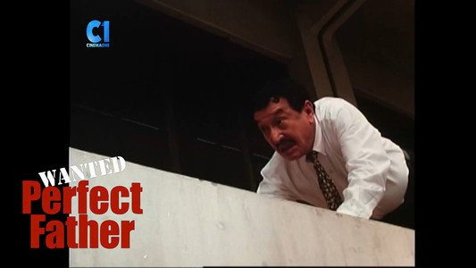 Wanted: Perfect Father