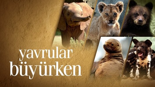 Growing Up Animal
