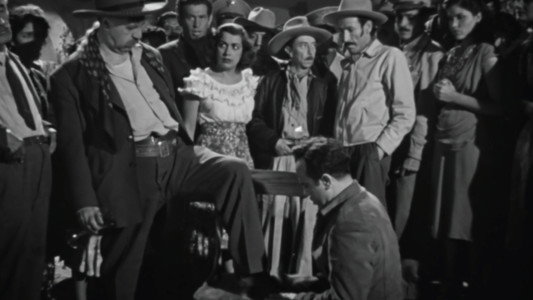 La oveja negra