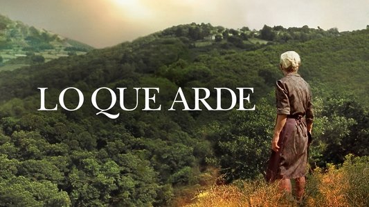 O que arde