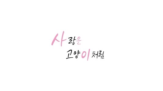 사랑은 고양이처럼