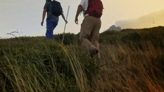 Salvajes, El Cuento Del Lobo