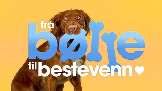 Fra bølle til bestevenn