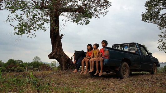 Talking to the Trees