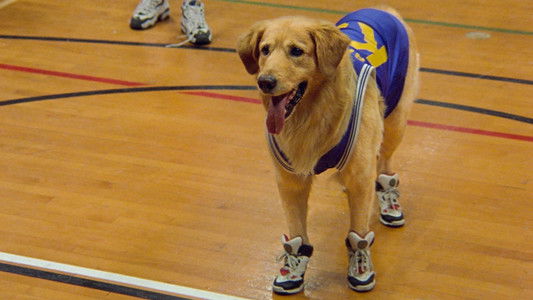 Air Bud