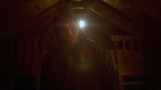 The Abduction