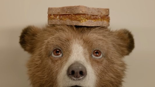 Paddington in Peru