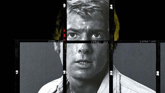 Wrangler: Anatomy of an Icon