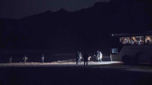 大象席地而坐