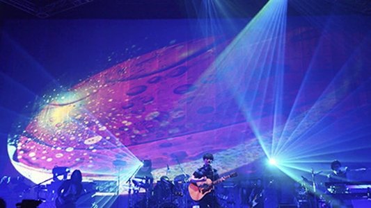 SAKANAQUARIUM 2013 sakanaction -LIVE at MAKUHARI MESSE 2013.5.19-