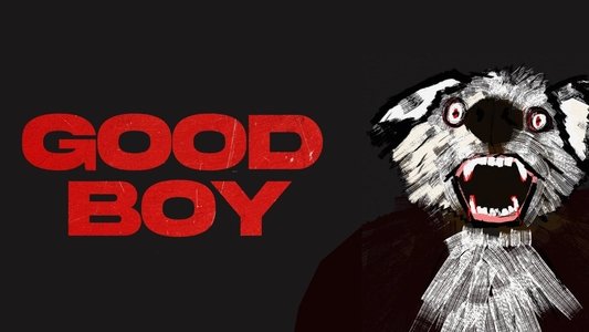 Good Boy