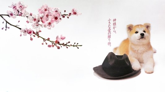 ハチ公物語