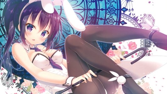 ご注文はうさぎですか？