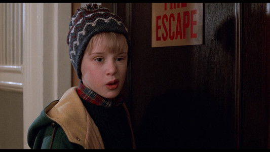 Home Alone 2: Lost in New York