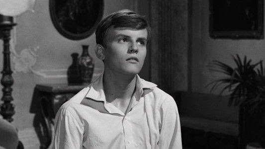 La ragazza con la valigia