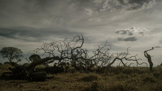 Querência