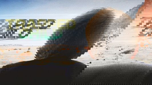 Monolith