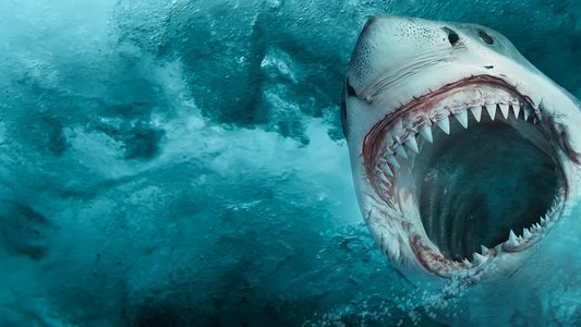 Sharkcano