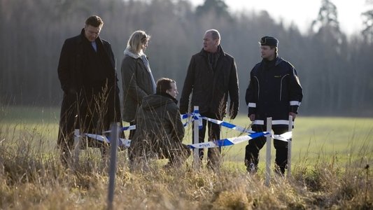 Beck 23 - Det tysta skriket