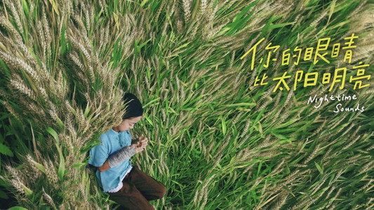 你的眼睛比太阳明亮