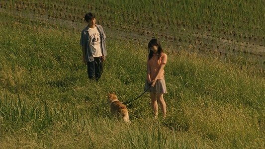 月光の囁き