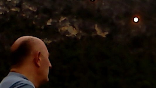 ხმელი ფოთოლი