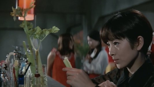 温泉ポン引女中