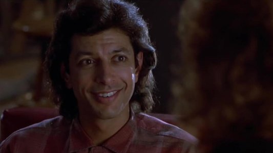 The Fly