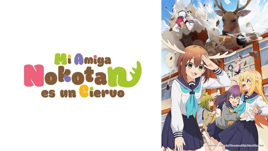 しかのこのこのここしたんたん