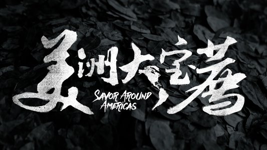 美洲大宝荐