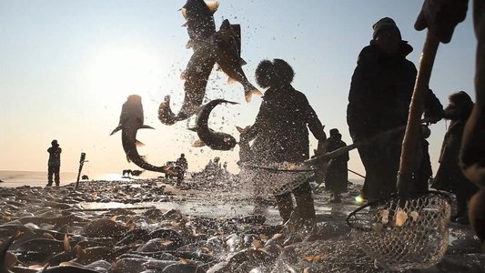 舌尖上的中国